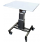 Table mobile de travail en Inox